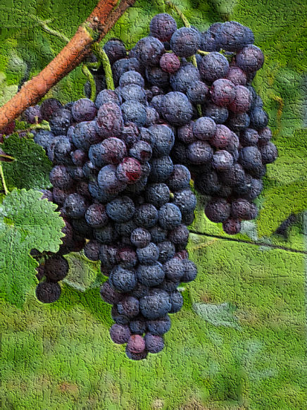 Repsher Origins by Donald R. Repsher